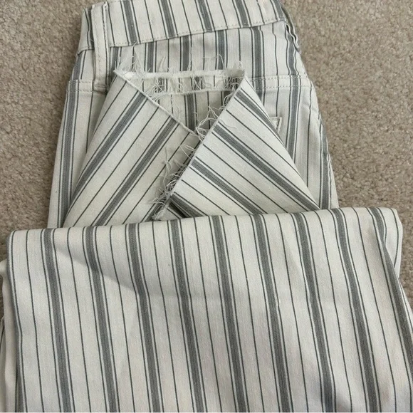 NWOT FRAME Le palazzo crop pant striped raw hem wide leg